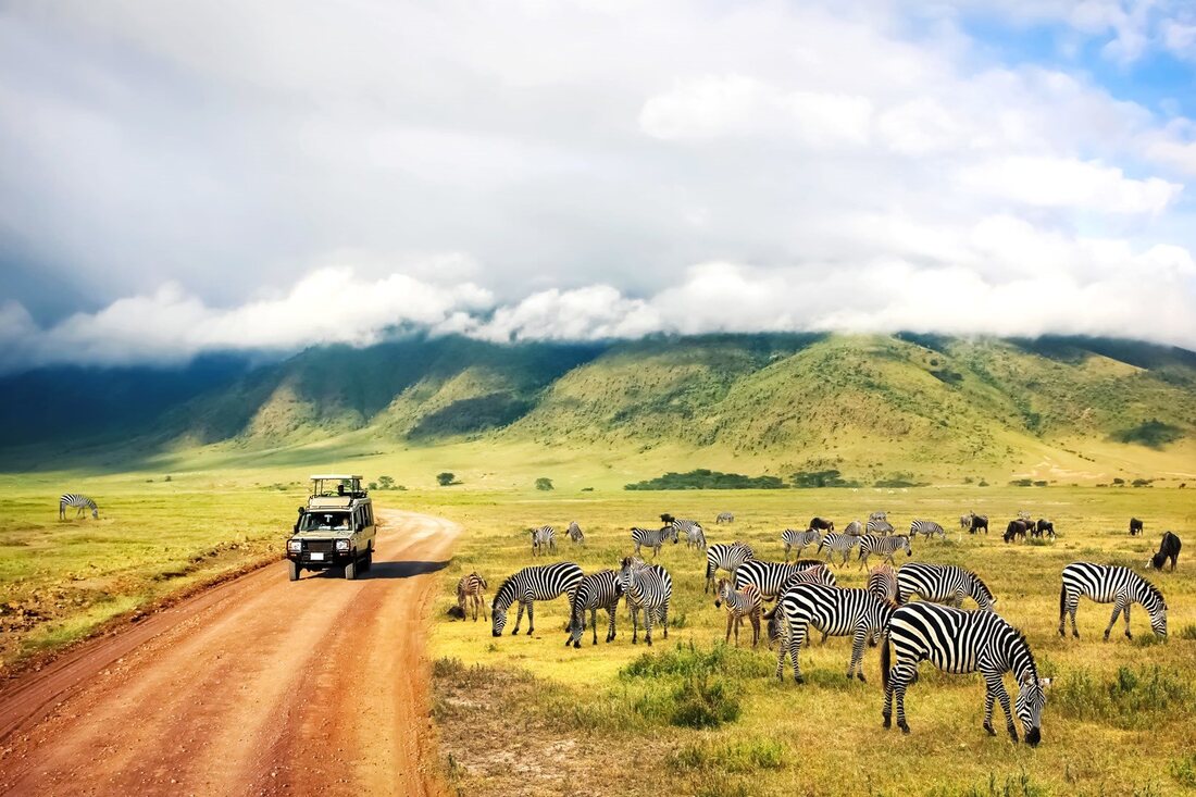 Tanzania Safaris 2020