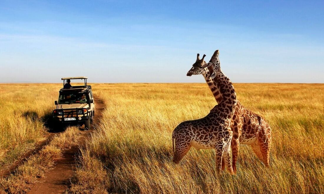 Tanzania Safaris packages
